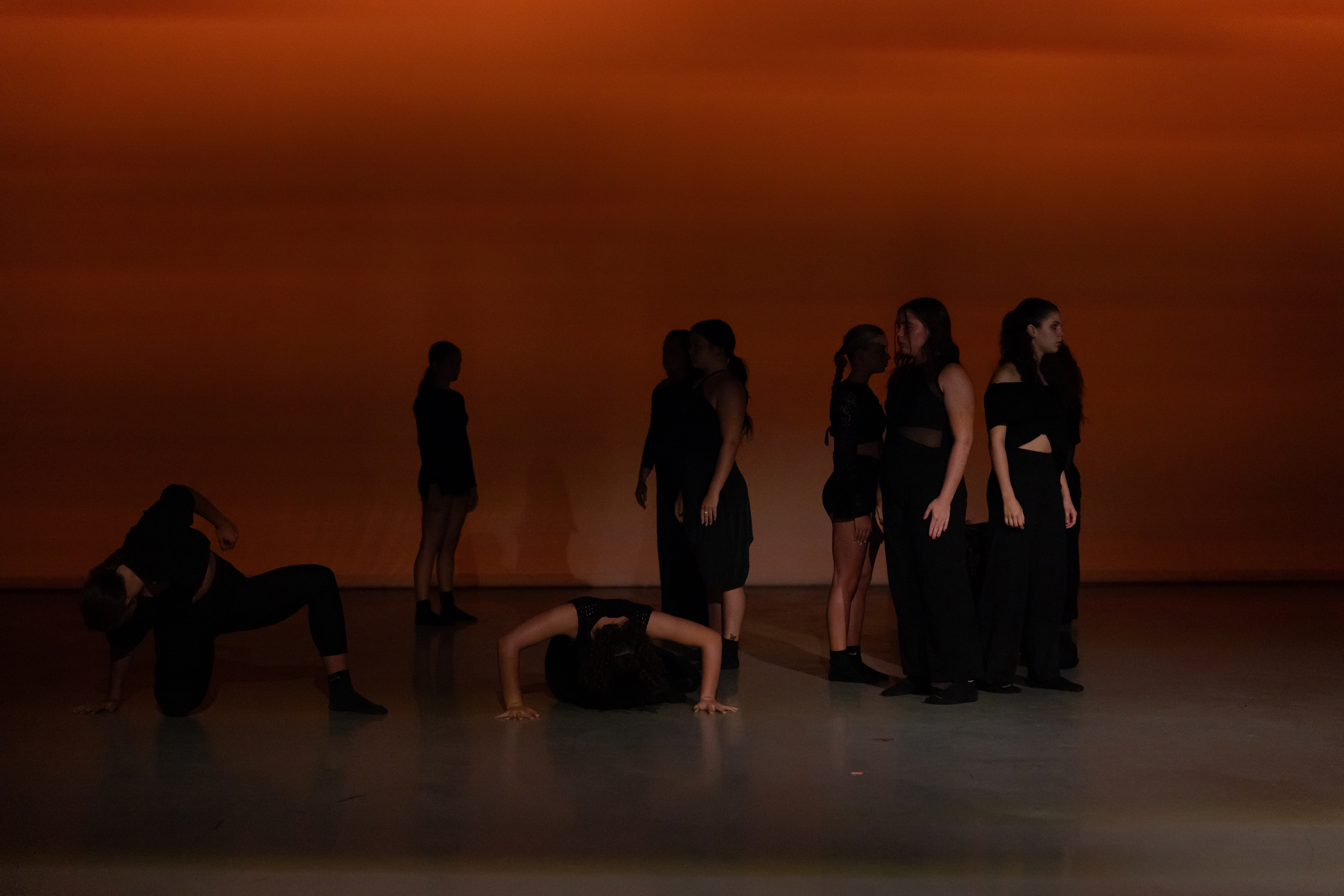 DWD Collective — company portrait