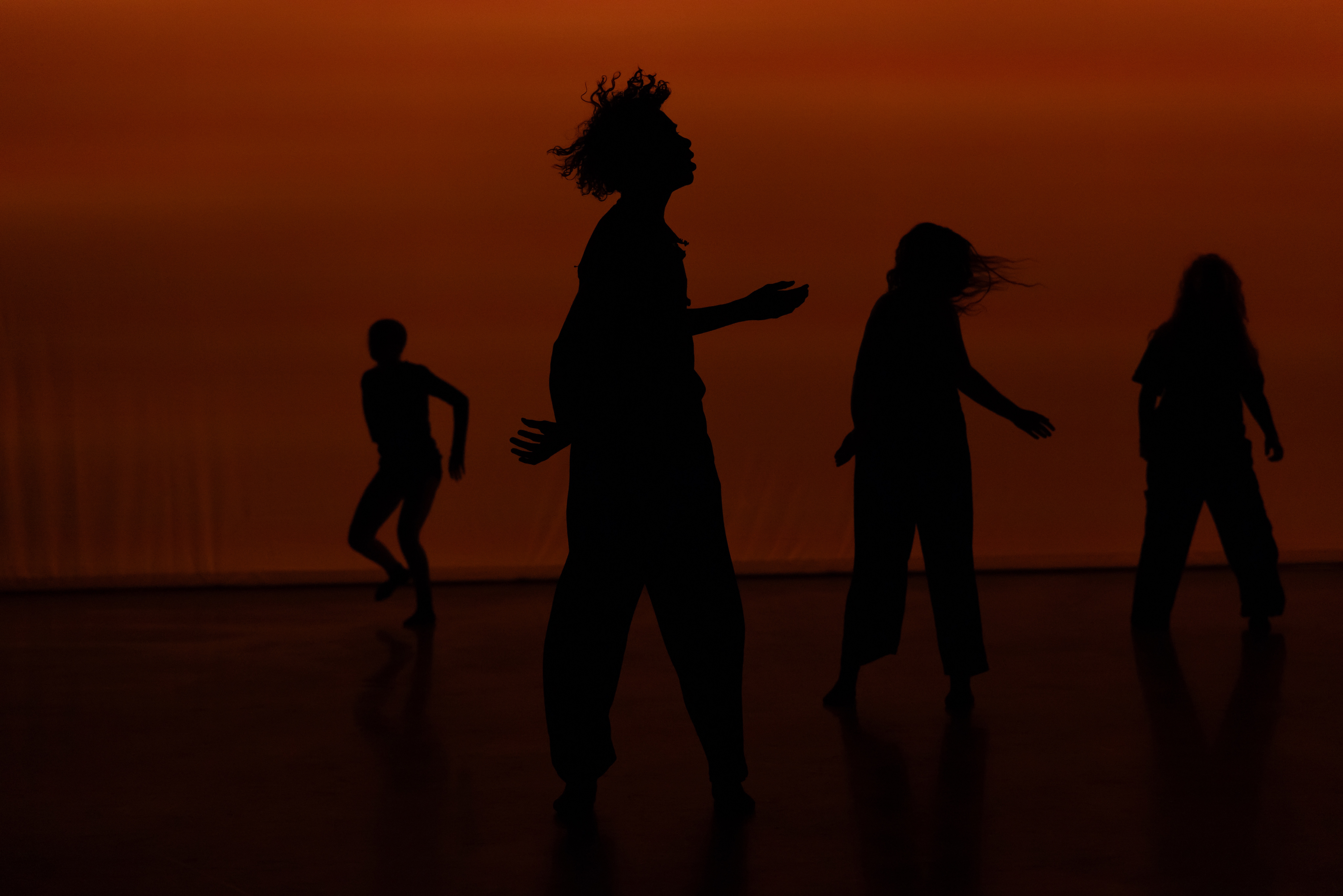 DWD Collective — in motion