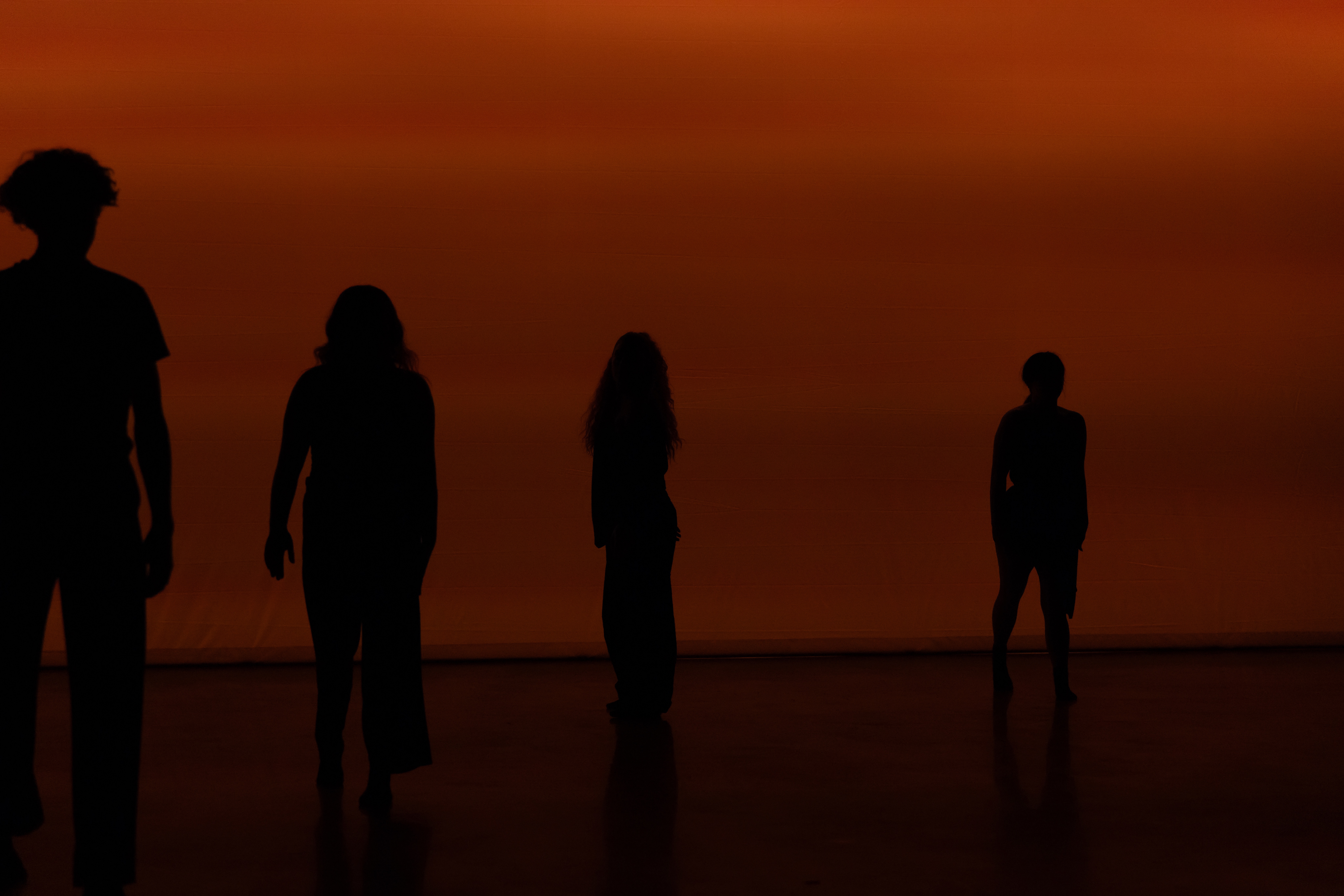 DWD Collective — company shot