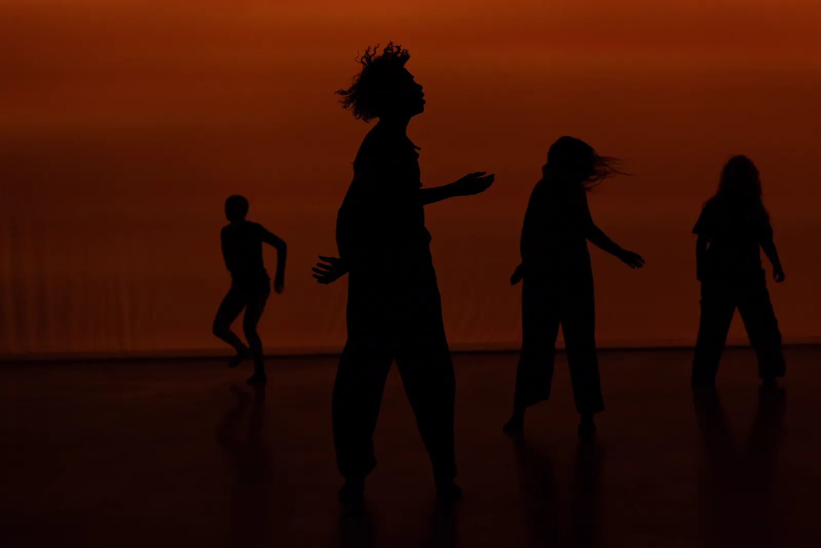DWD Collective · in motion